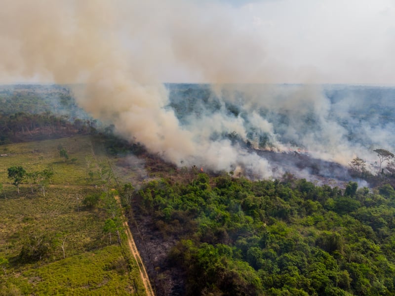 Imagem da floresta amazônica em chamas sendo desmatada