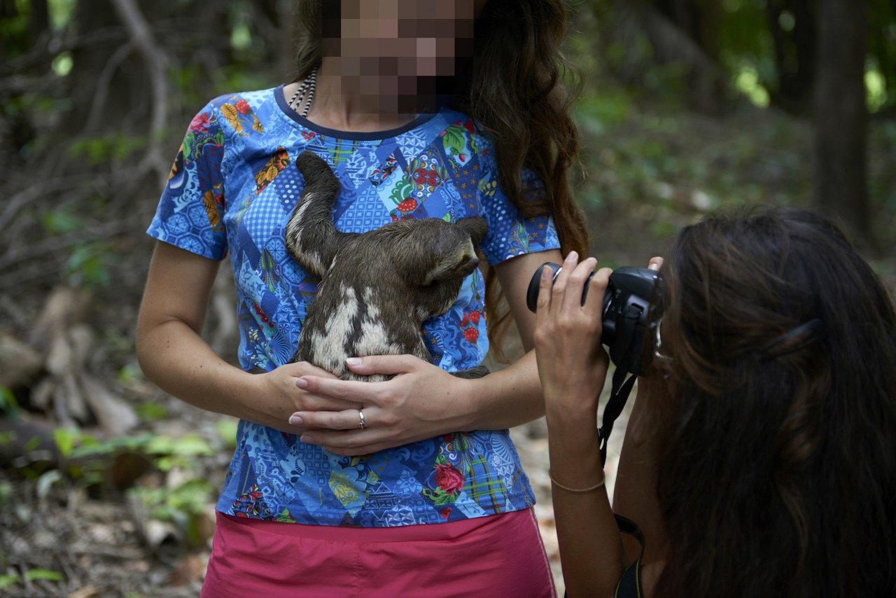 Turista com um bicho-preguiça no colo enquanto outra pessoa tira uma foto delas.