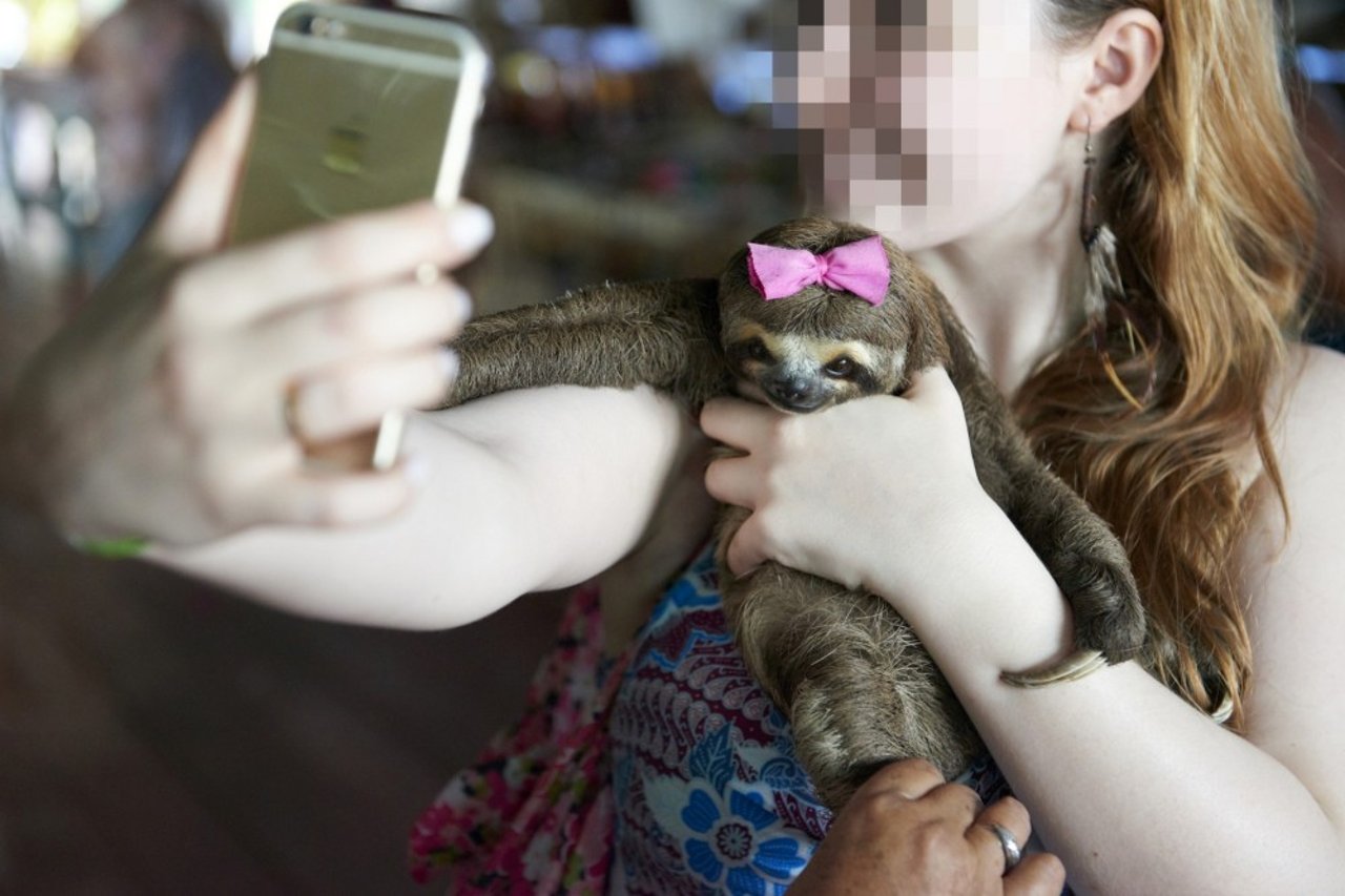 Turista com um celular na mão, segurando uma preguiça com laço no colo, pronta para tirar uma selfie