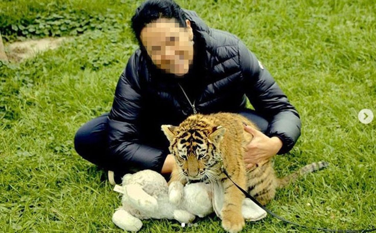 Foto postada em rede social, de uma turista posando com um filhote de tigre na Jungle Cat World, no Canadá
