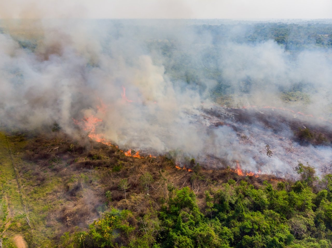 Visão aérea da Amazônia com pontos de fogo, causados pelo desmatamento