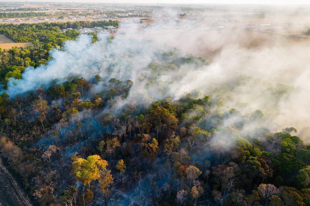 Forest fires in  SINOP Municipality, Brazil