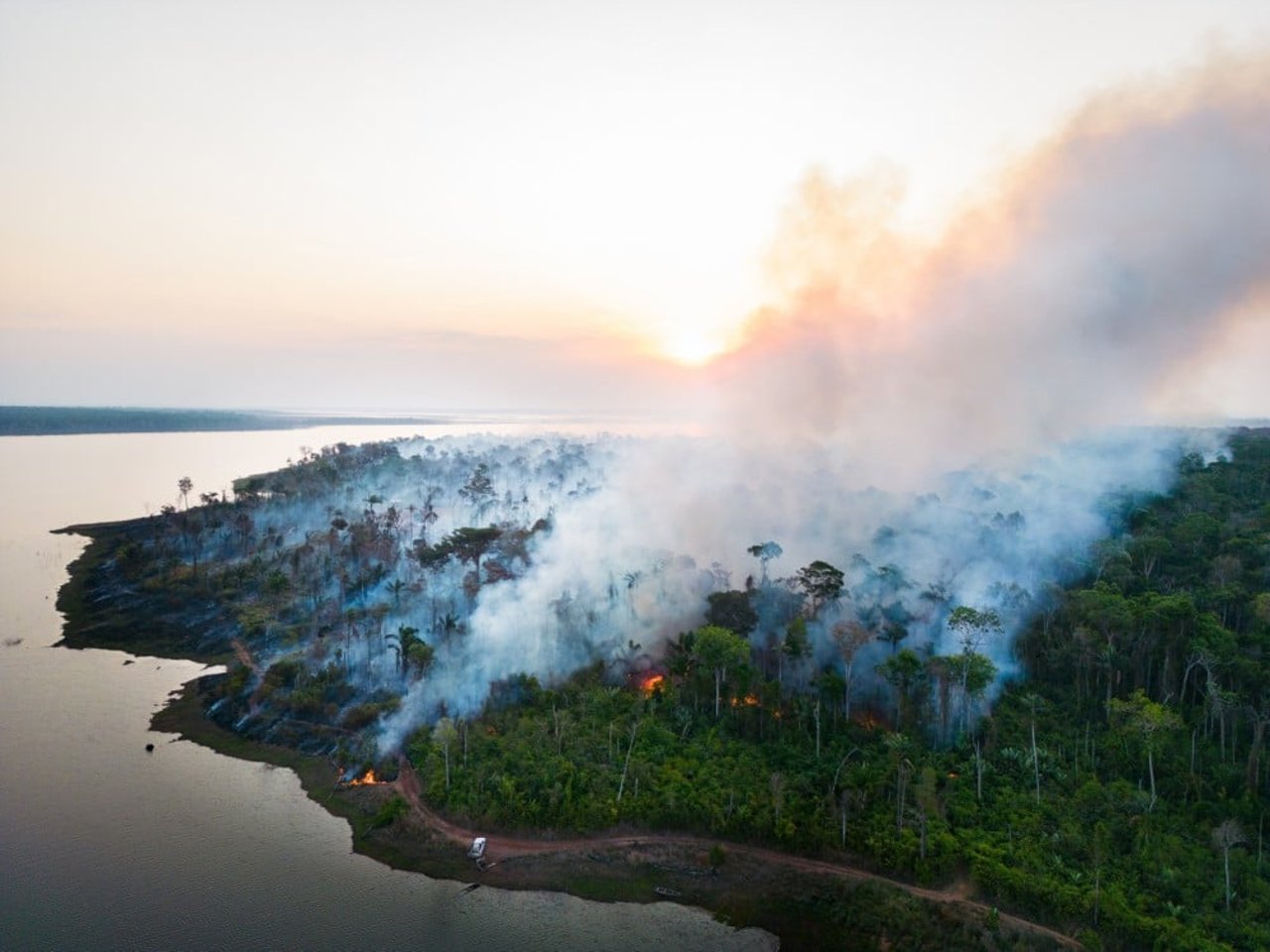 Foco de incêndio em floresta do Mato Grosso