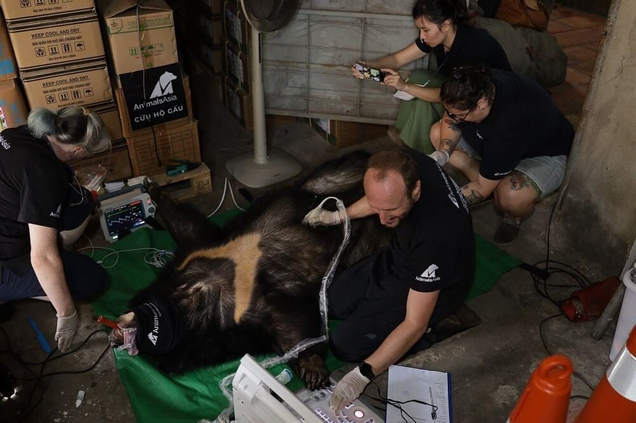 Our teams monitoring Bonnie and Clyde