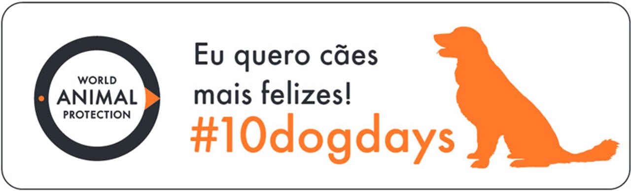 10dogdays-br_tcm28-44582