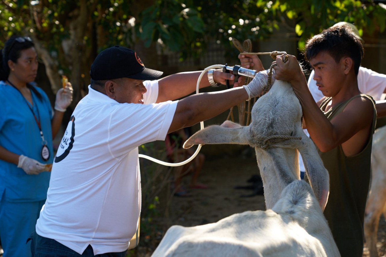 20161027_ilocos_norte_haima_136