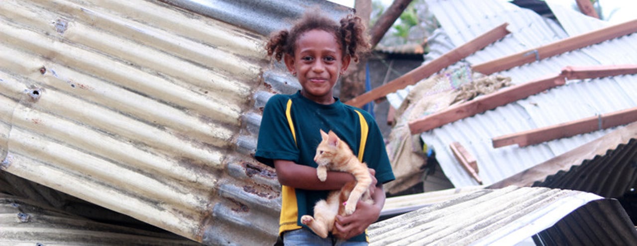 30000_gatinho