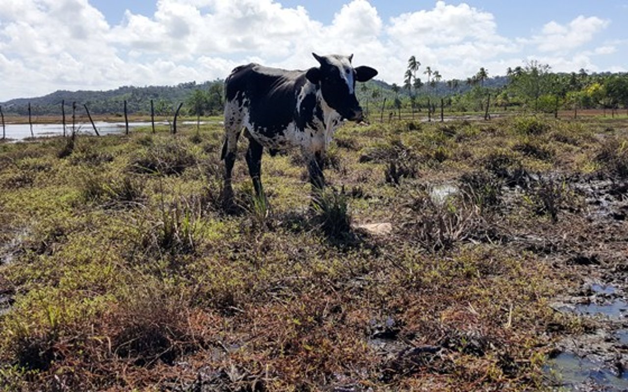 alagoas_floods_05