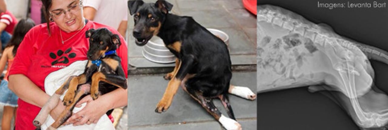 bart_recuperacao