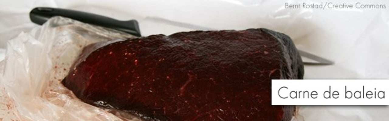 carne_baleia