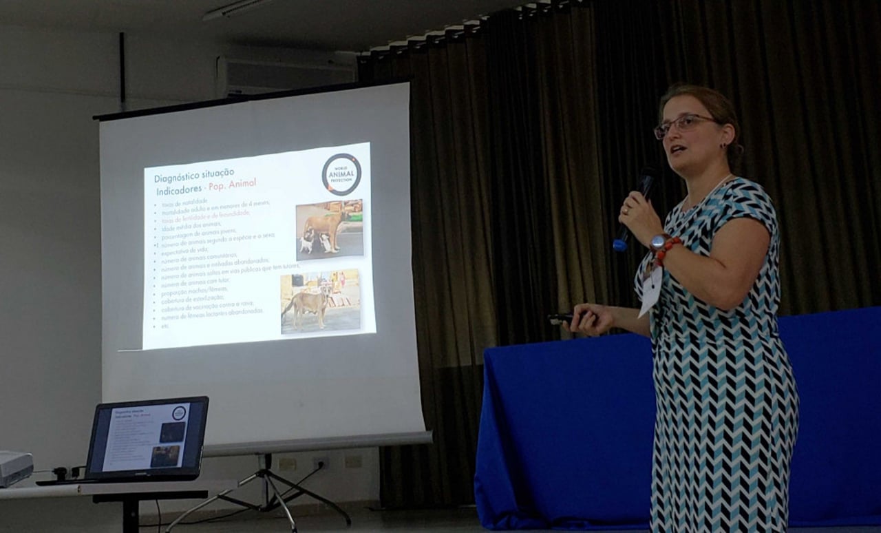conferencai-coletivo-rosangela