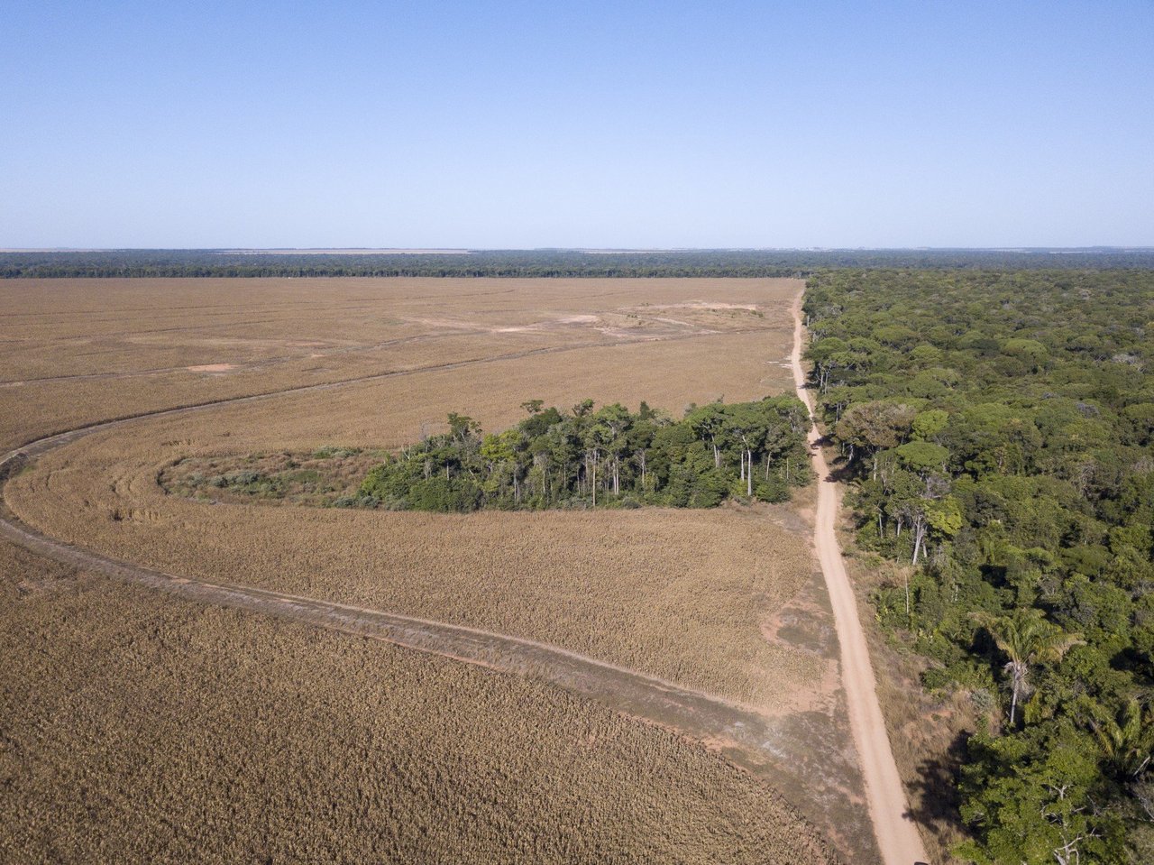 Imagem aérea de lavouras e áreas desmatadas nas Fazendas União e União II. Foto: Fernando Martinho/Repórter Brasil
