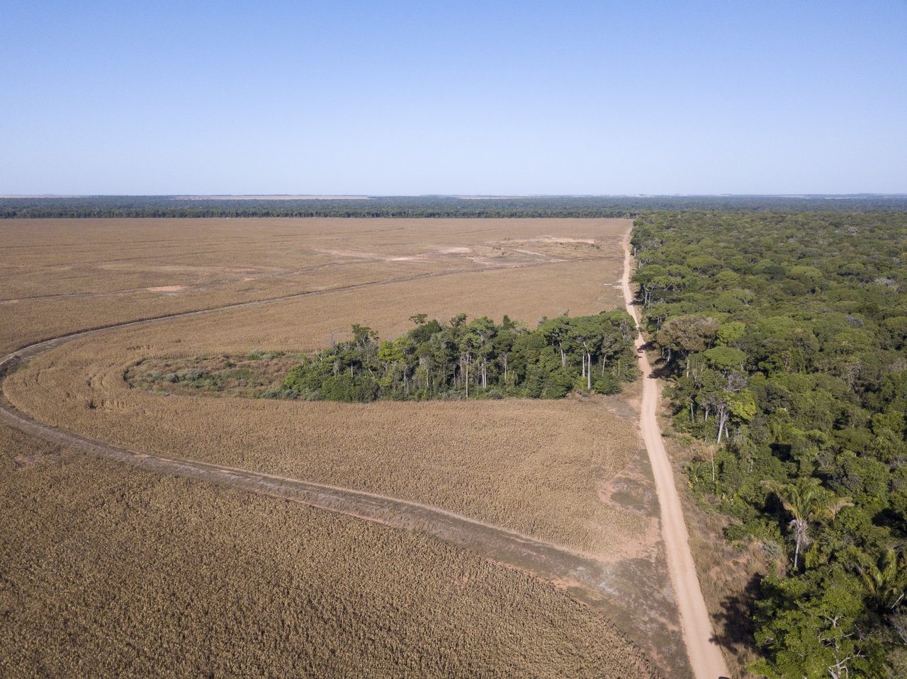 Vista aérea da fábrica da JBS, Seara, em Tangará da Serra. Foto: Fernando Martinho/Repórter Brasil