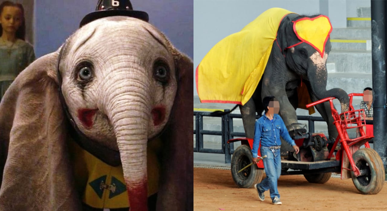 dumbo_elefante_entretenimento