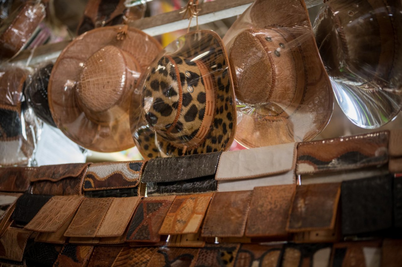 Produtos feito com pele de onça e comercializados ilegalmente na Bolívia