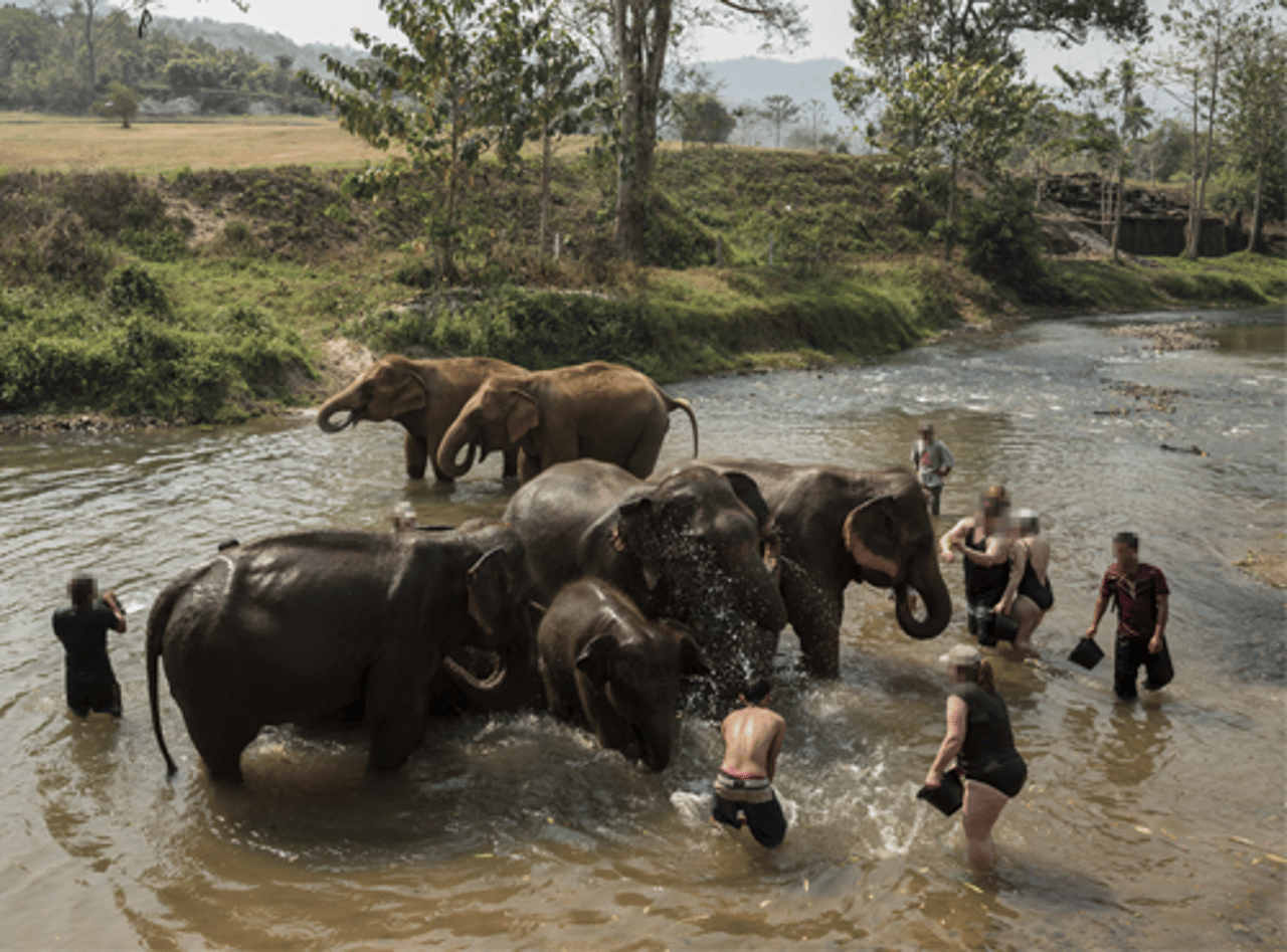 Turistas em um pequeno rio dando banho em elefantes