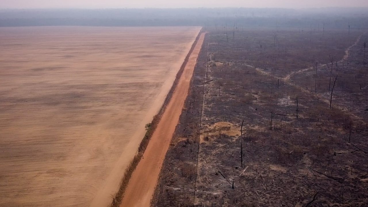 Imagem aérea de floresta desmatada no Mato Grosso