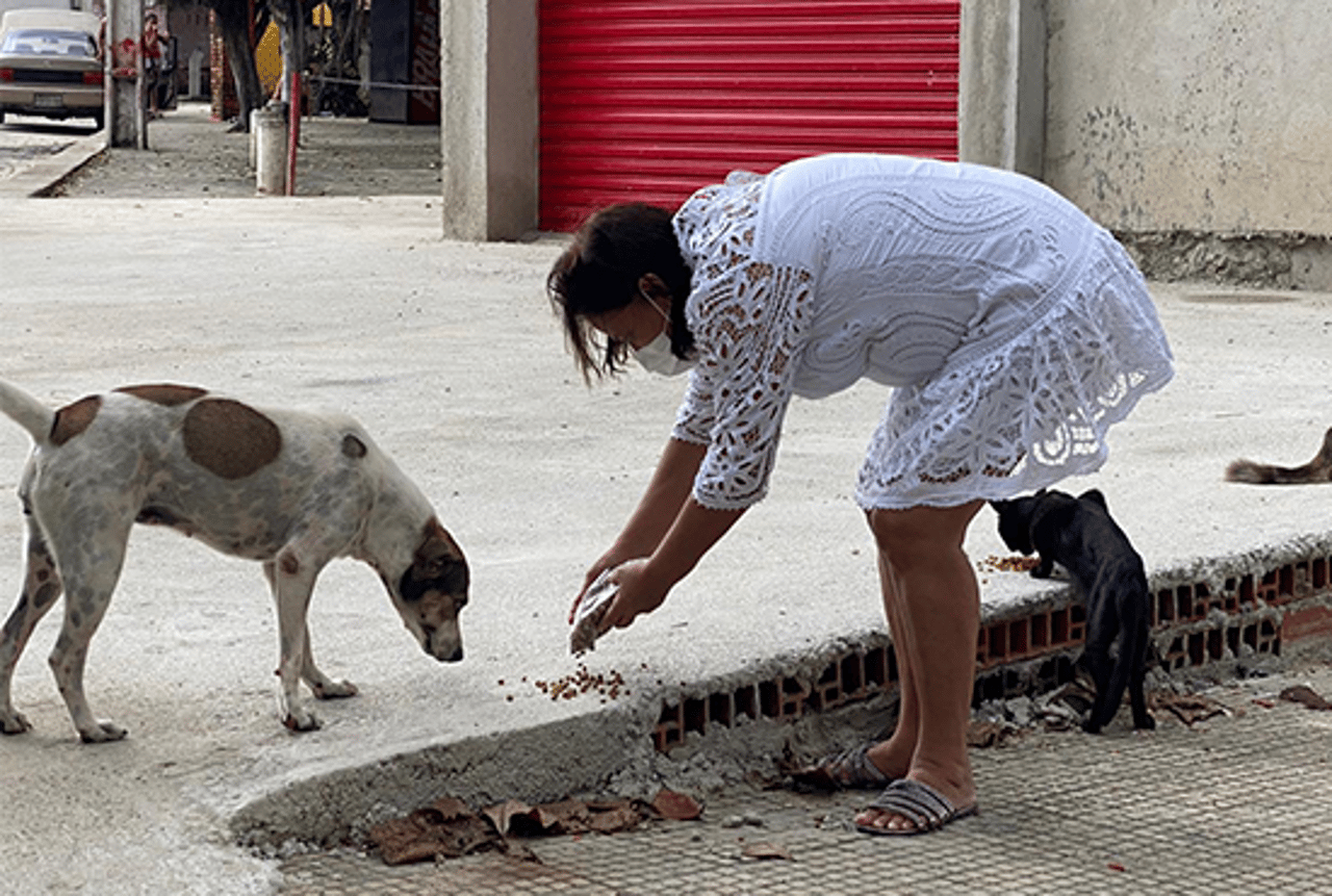Animais de rua em Fortaleza recebendo ração por meio do Grupo de Apoio ao Bem-Estar Animal