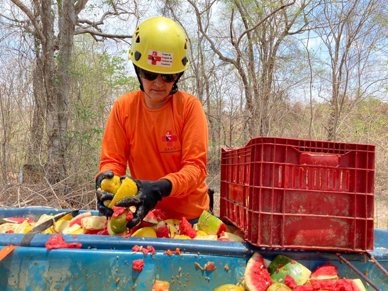 Membro do grupo GRAD prepara alimentos que serão fornecidos aos animais no Pantanal