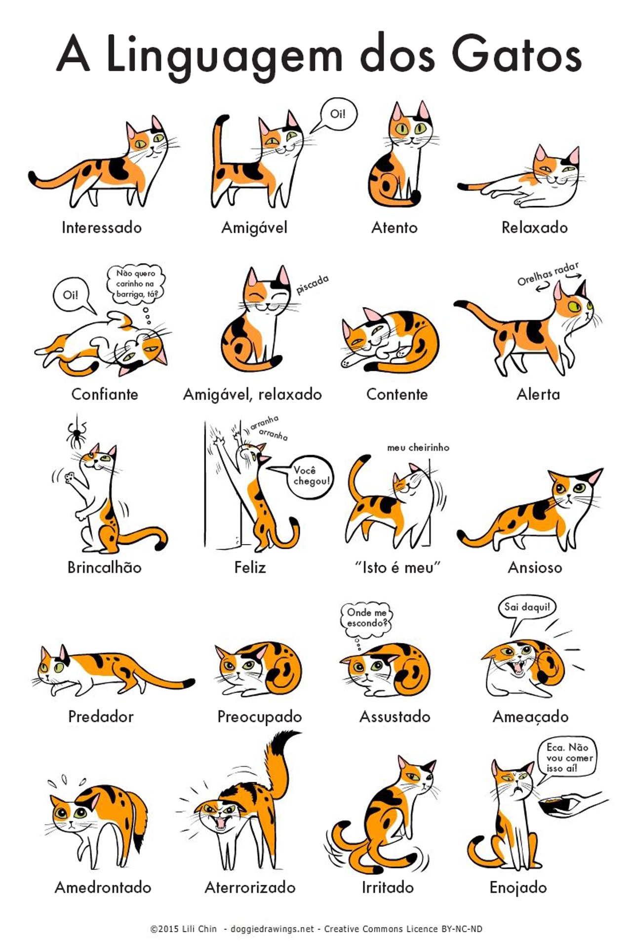 grafico-linguagem-dos-gatos