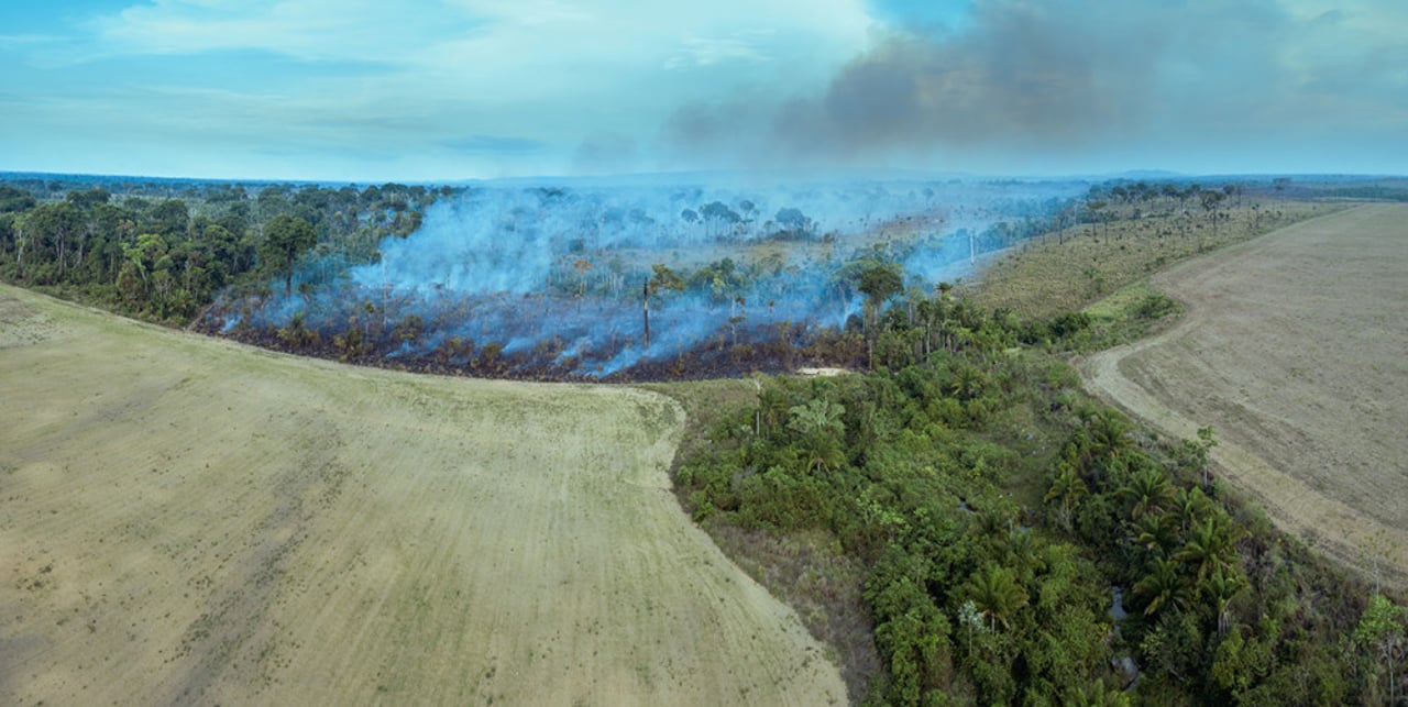An aerial view of deforestation connected to soy and livestock production.