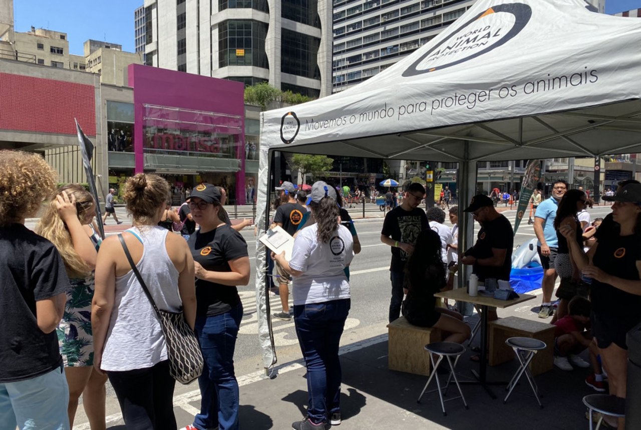 Pessoas durante ação na Avenida Paulista