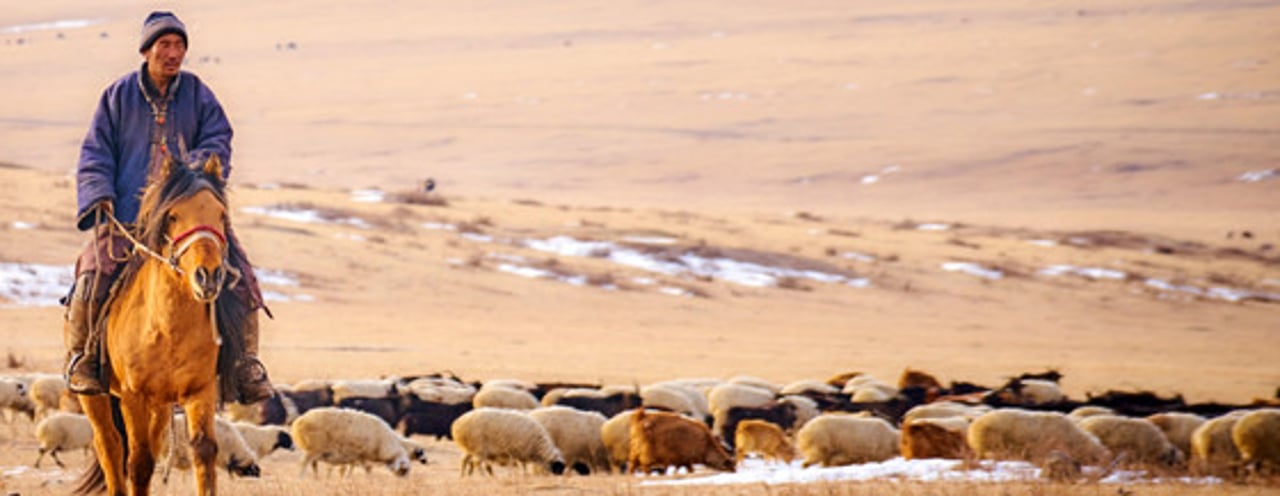 mongolia6