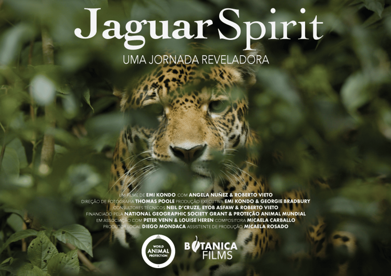 Poster do documentário Jaguar Spirit - Uma jornada reveladora