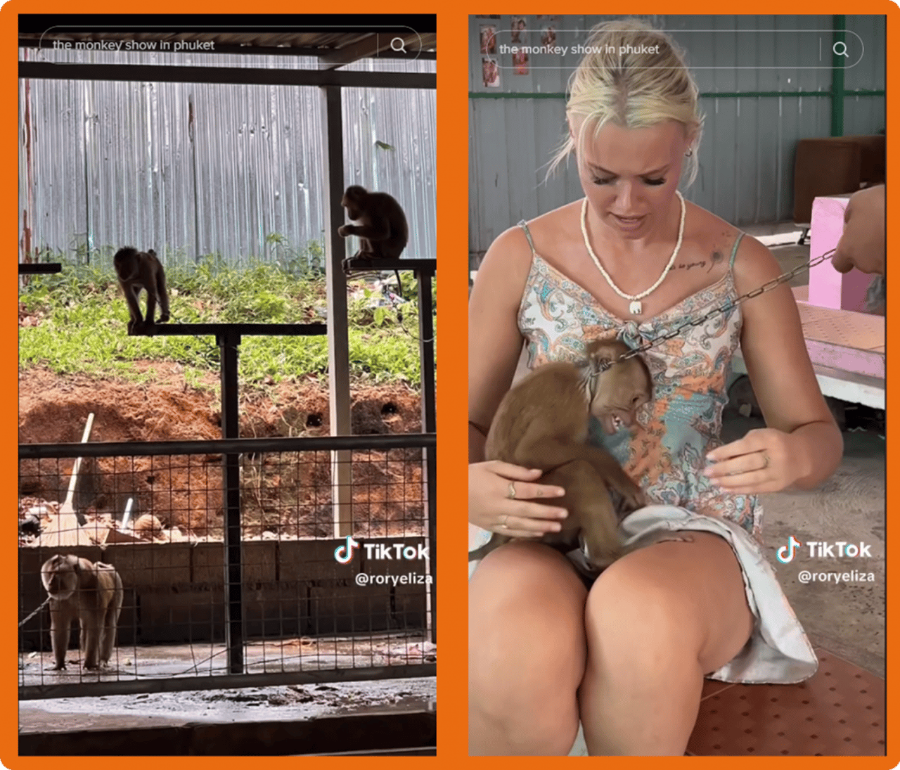 Prints do vídeo publicado pela TikToker Rory Eliza. Na imagem à esquerda, macacos são exibidos presos e acorrentados. Na imagem à direita, Rory está com um filhote de macaco no seu colo, que também está acorretado.