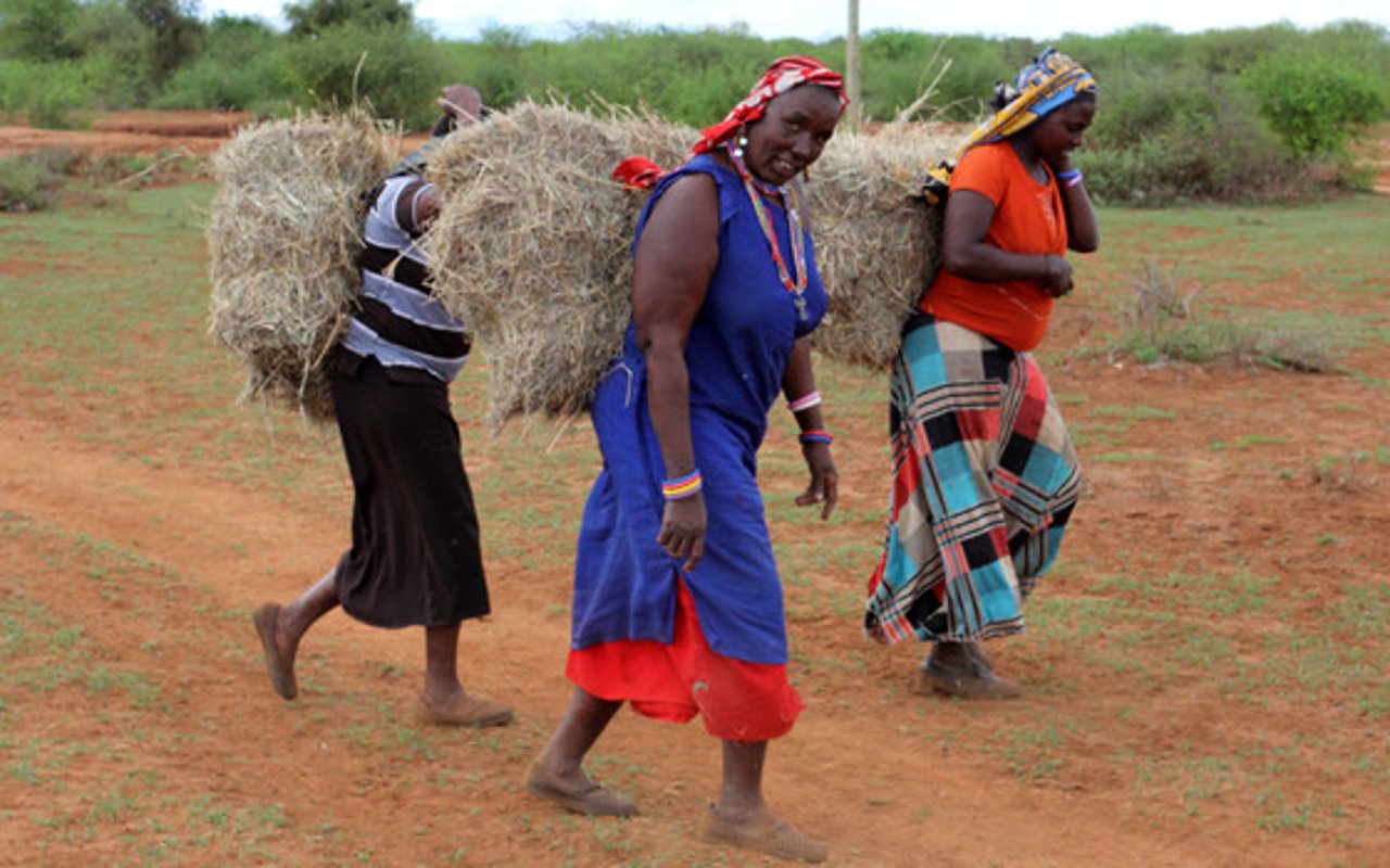 quenia_women_hay