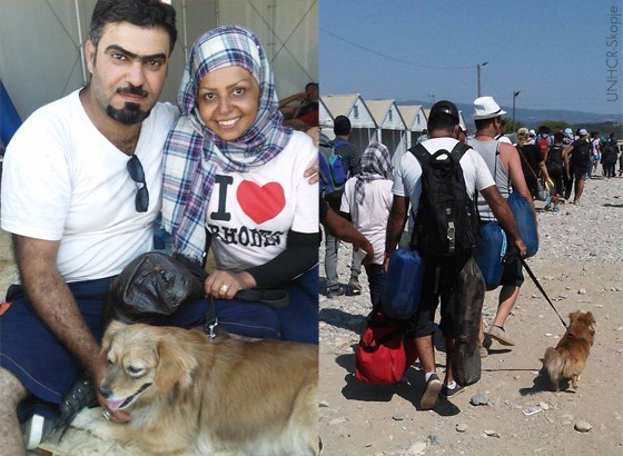 refugiados_interna