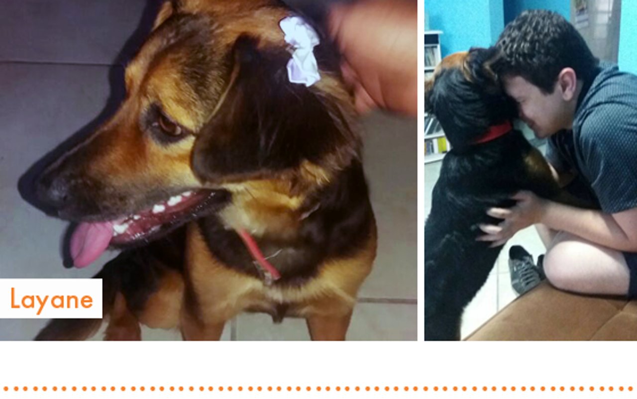 rio2016_resgatados_cachorro_layane