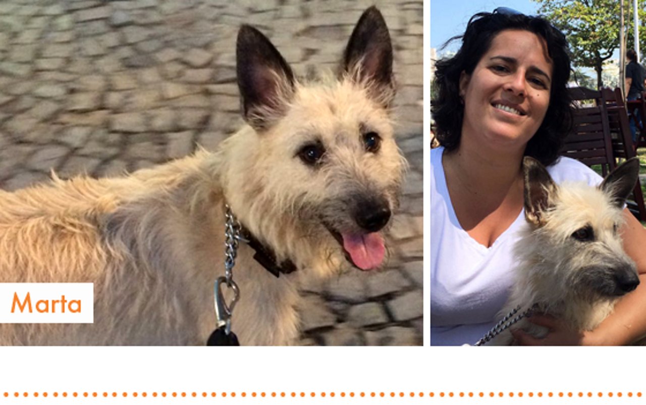 rio2016_resgatados_cachorro_marta