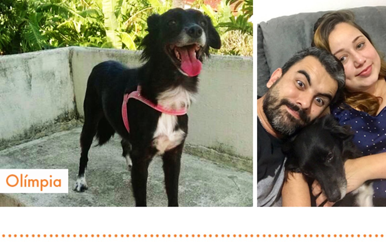 rio2016_resgatados_cachorro_olimpia