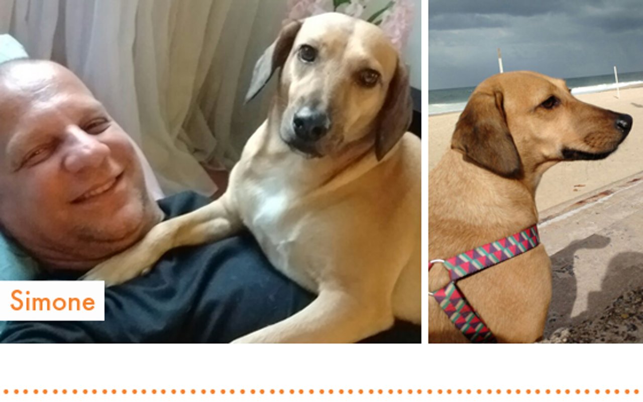 rio2016_resgatados_cachorro_simone