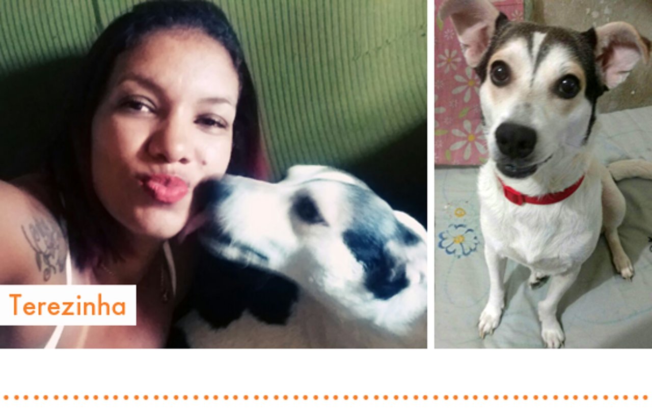 rio2016_resgatados_cachorro_terezinha