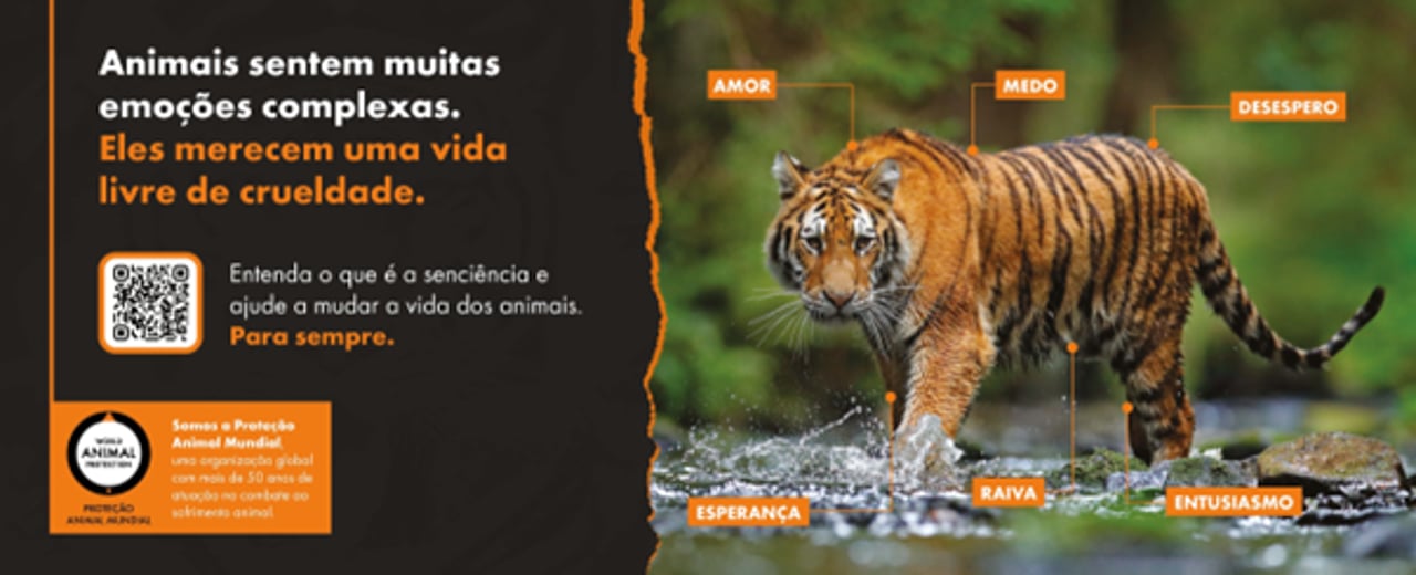 Tigre livre, na natureza, com textos que expõe sua capacidade de sentir emoções