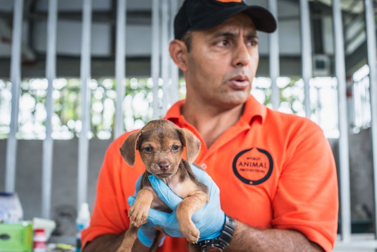 Sergio Vásquez holding a dog in the Parismina community of Limon, Costa Rica - Animals in disasters - World Animal Protection