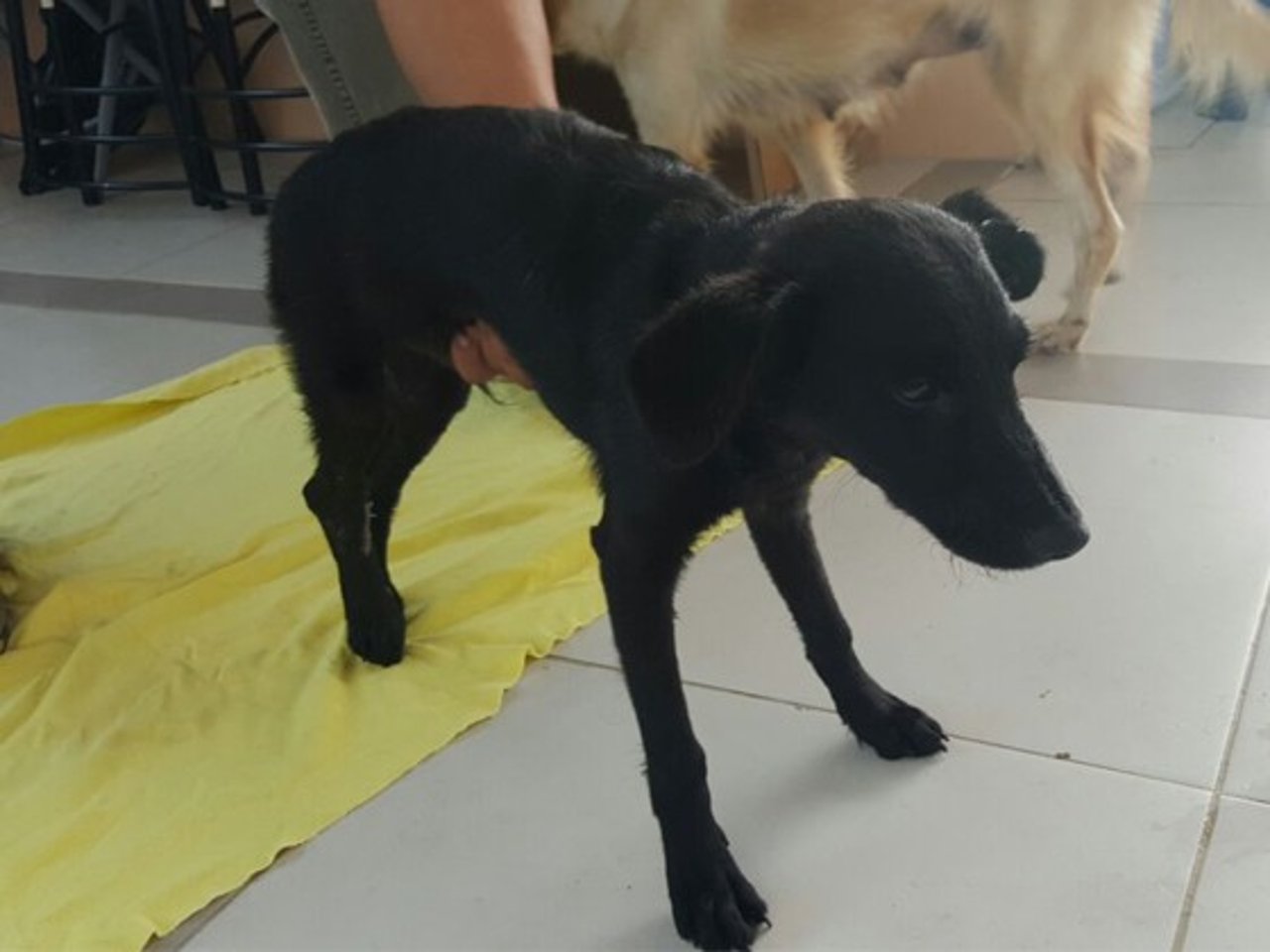 terremoto_equador_valentino_recuperacao