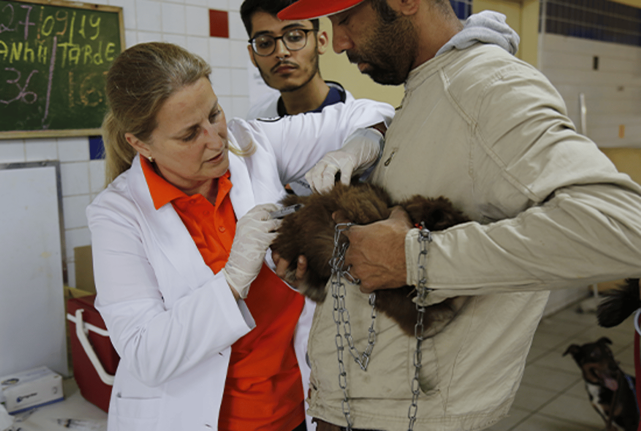 Rosangela Ribeiro, nossa gerente de programas veterinários, aplicando vacina contra a raiva em um cão de porte pequeno, peludo, que está no colo de seu tutor