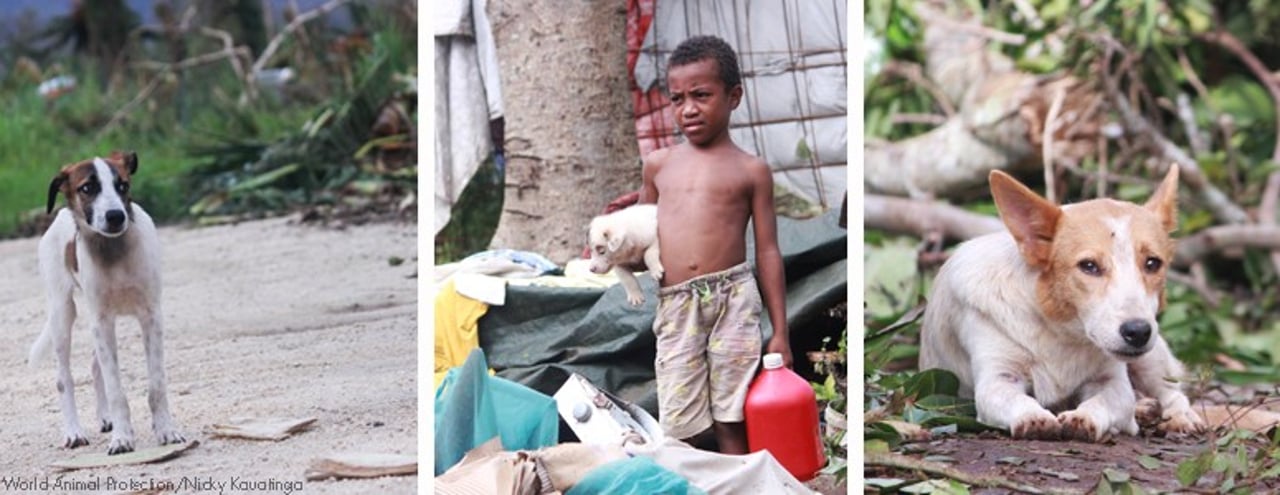 vanuatu_galeria