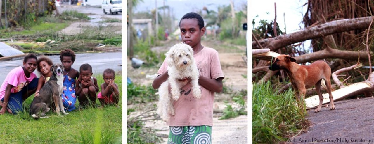 vanuatu_galeria_2