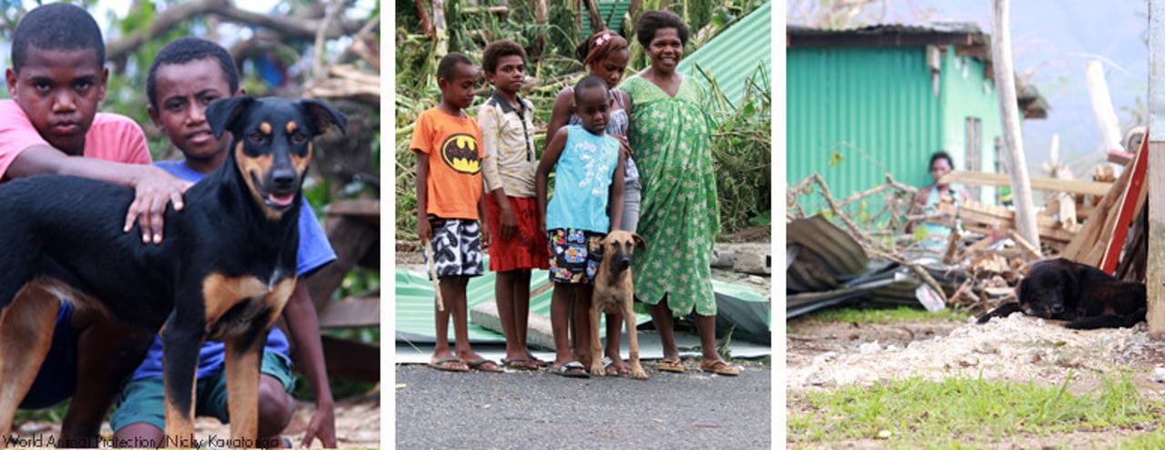 vanuatu_galeria_3
