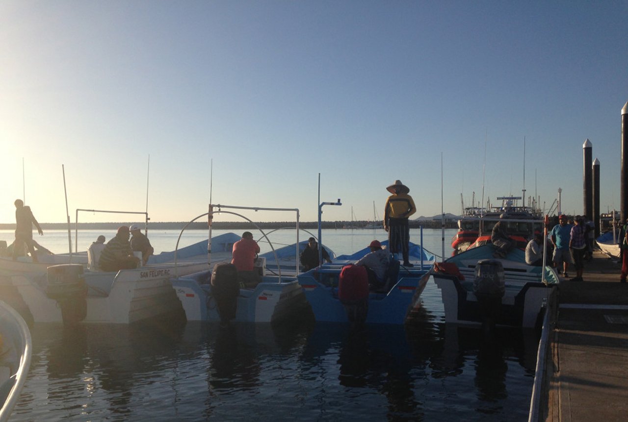 vaquita_boats_pangas_may2017