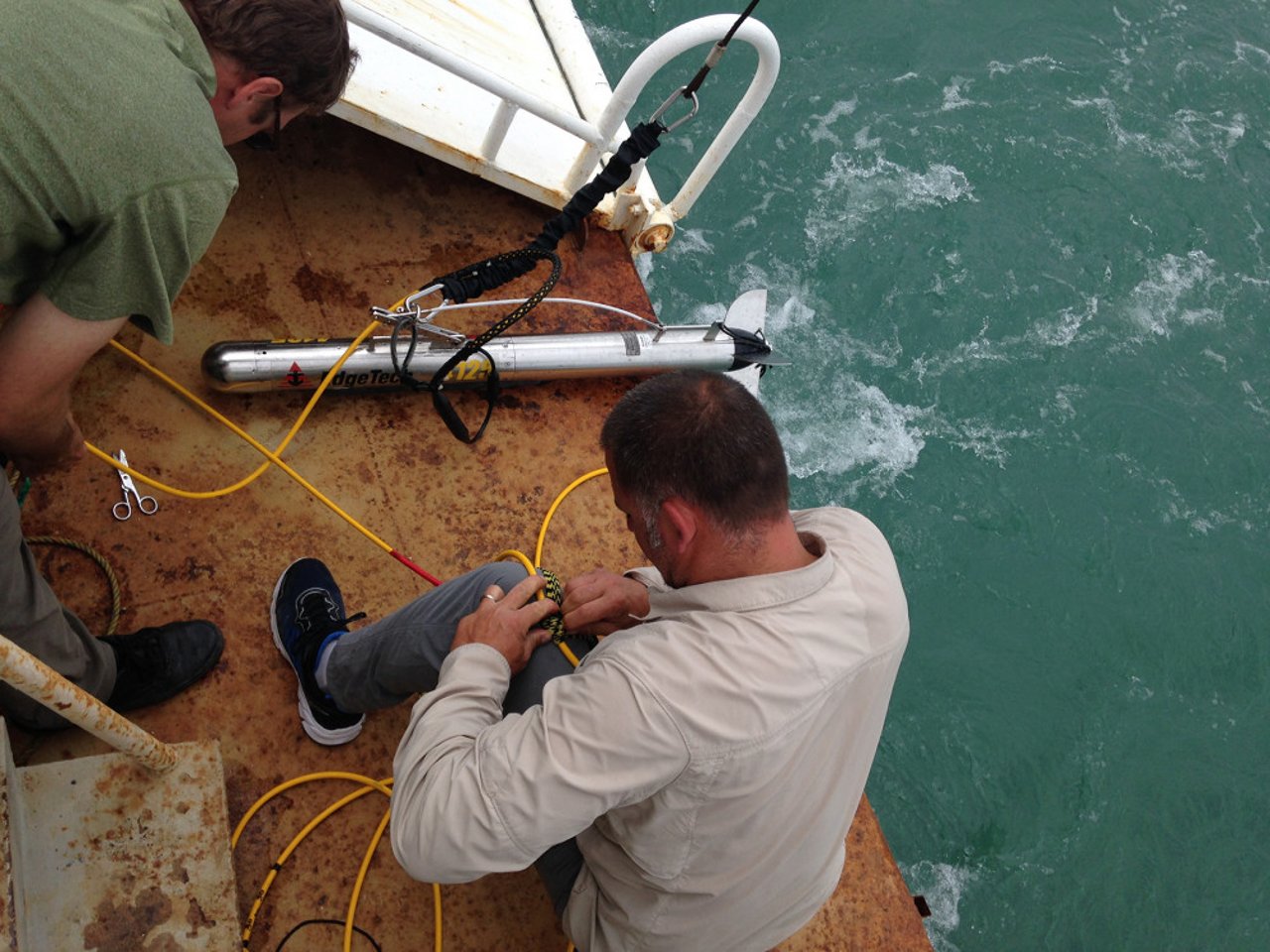 vaquita_prepping_sonar_may2017