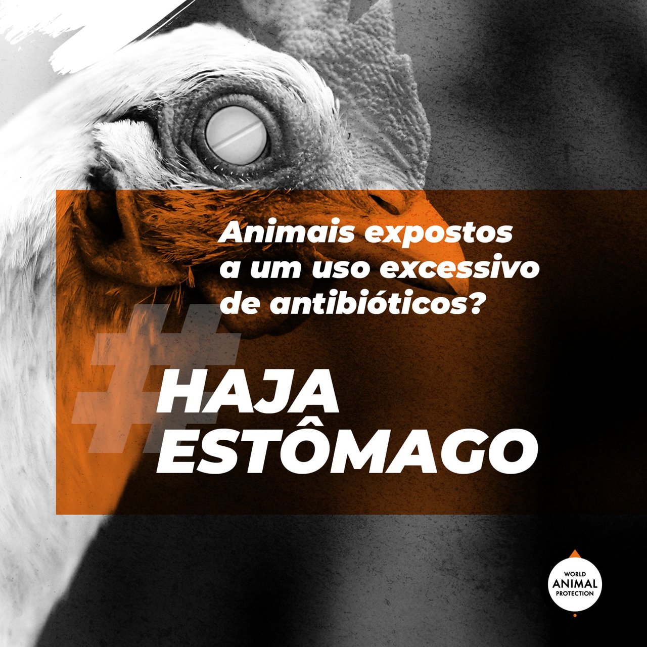 Imagem em preto e branco, ao fundo, de um frango. Texto sobre a imagem: animais expostos a um uso excessivo de antibióticos? Haja estômago!