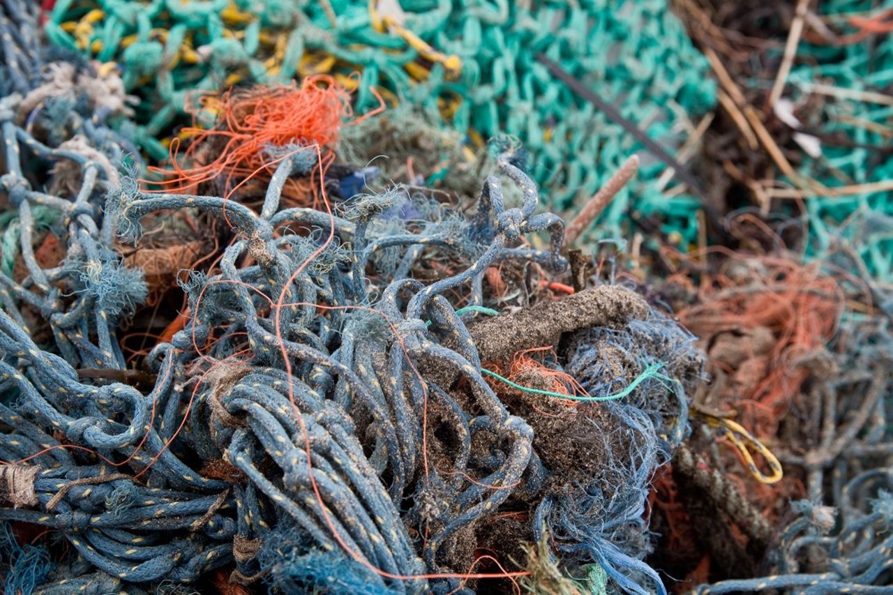 Redes de pesca removidas do mar durante ação da Proteção Animal Mundial