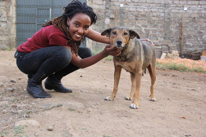 Mulher agachada, abraçando cachorra caramelo