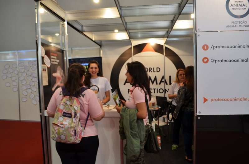 World Animal Protection orienta sobre bem-estar animal na Pet South America