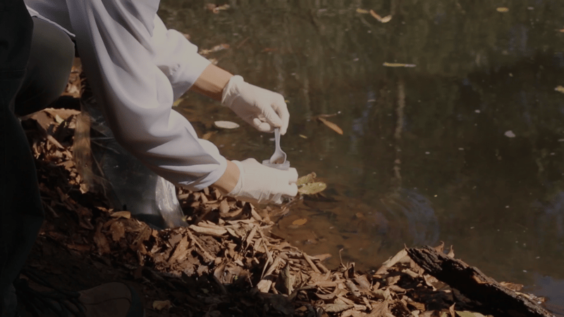 Mãos de um pesquisador, que está agachado em frente a um rio, coletando amostras para a pesquisa